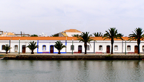 Tavira