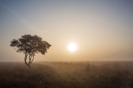 zonsopkomst