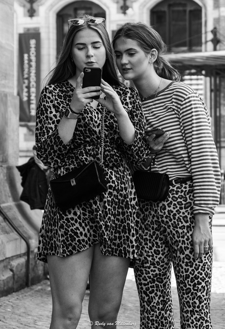 Two Leopards in Amsterdam