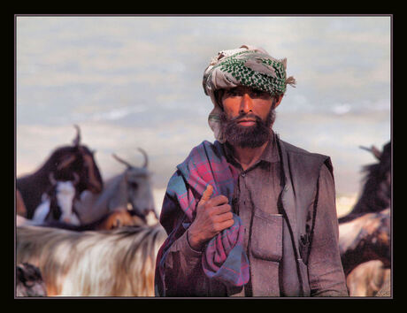 Gujjar herder