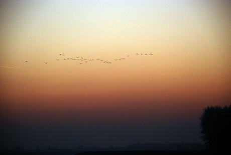 Ondergaande zon