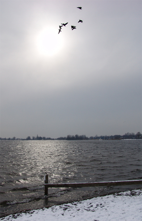 Winterzon (1)