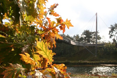 Voetbrug Lommel Belgie