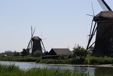 Kinderdijk 2012
