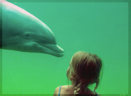 Meisje en dolfijn