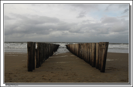 Strand domburg 1