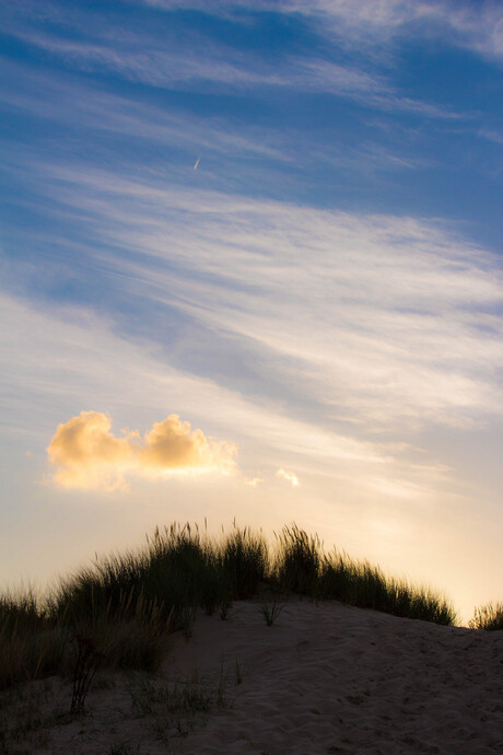 wolk in duin