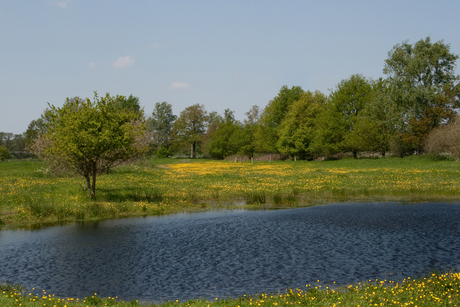 Aamsveen