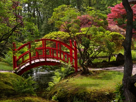Japanse tuin Clingendael.JPG