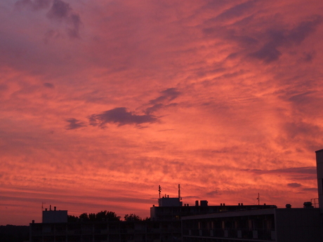 Zonsondergang in Zeist