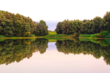 Vonkerplas bij schemer