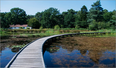 Onze Limburgse natuur