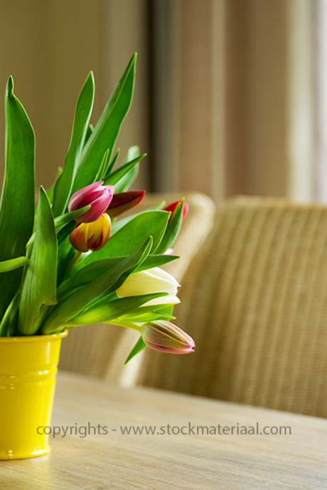 tulpen tafel