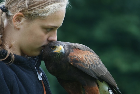 zo lief zijn ze