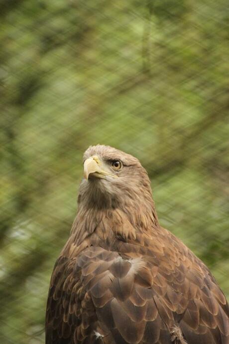 Ouwehands Dierenpark