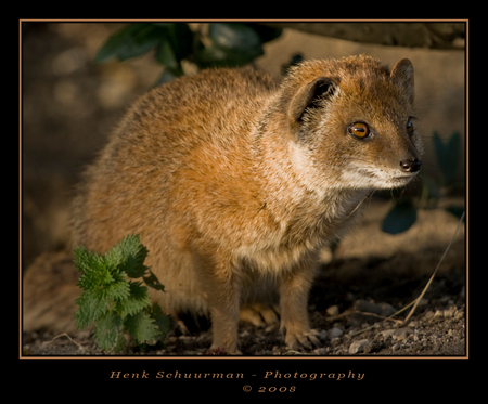 ah Eindelijk Rust Foto Van Henkschuurman Zoom Nl