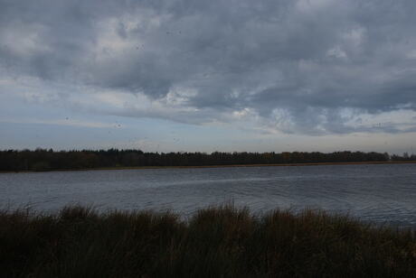 Kunst van de wolken