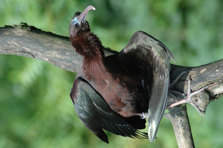 Zit ik er goed voor ?