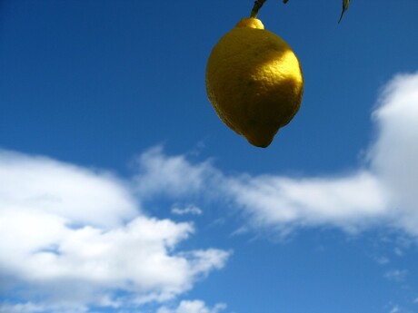 Beter 1 citroen in de lucht...