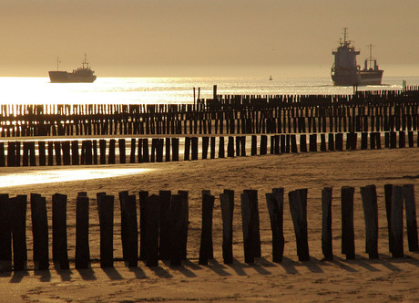 Strand Zoutelande