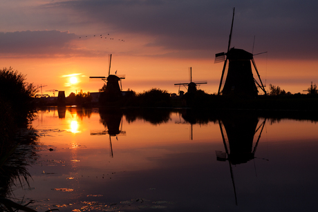 Zonsondergang Kinderdijk