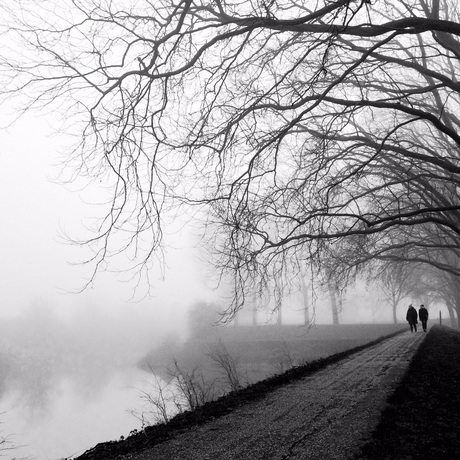 The walk in the mist