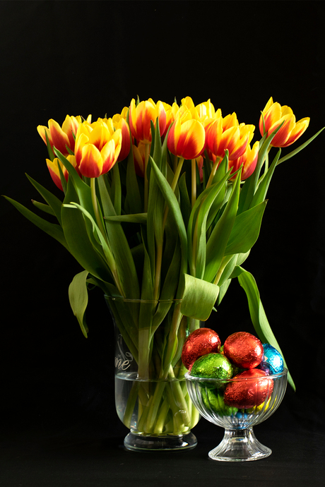 paas tulp