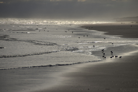 Ameland, De zon komt op