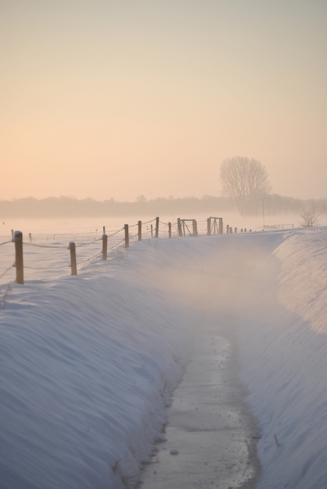 wintermorgen