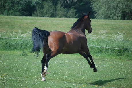 voetjes van de vloer