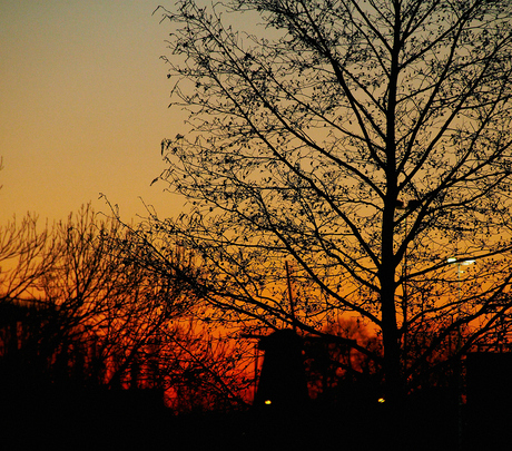 Sunset from my window