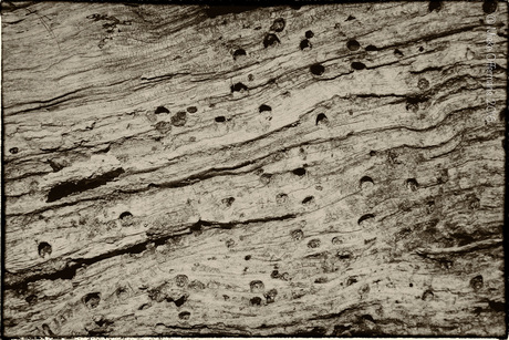 Hout abstract