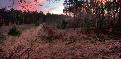 Een stukje Veluwe