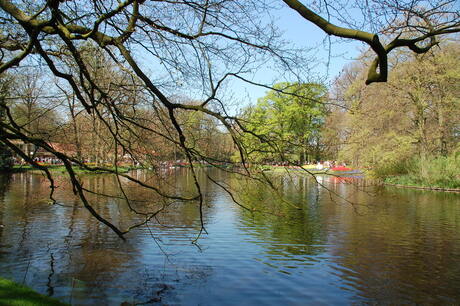 keukenhof