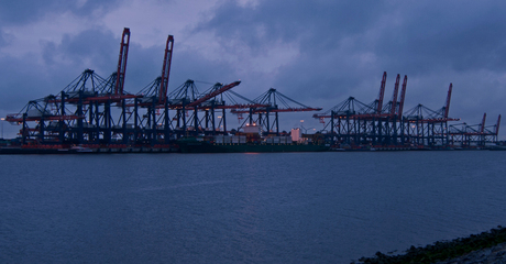 Kranen ballet in de Maasvlakte