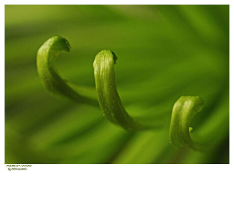 "Natuurlijk" Abstract