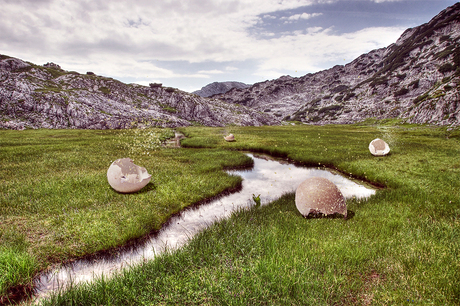 . . . Empty shells . . .