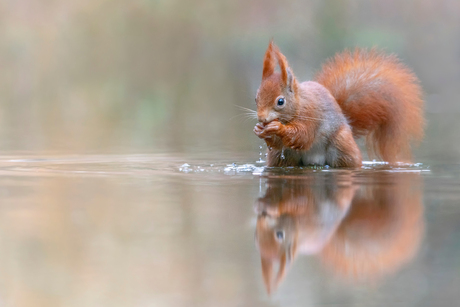 In het water.