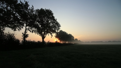Bright and Early in Drenthe