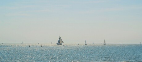 Waddenzee Terschelling