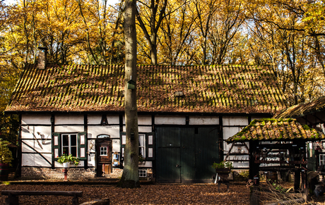 Om 22.02 uur begint de herfst. Dat het mooi en kleurrijk mag worden