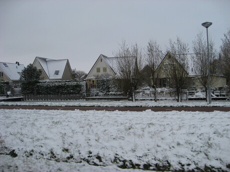 winter 2010