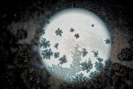 Snowflake at Moonlight
