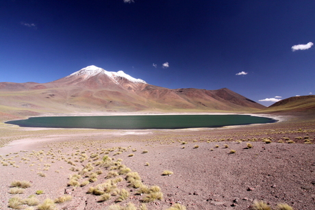 Laguna Miscanti