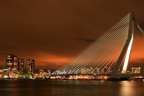 Stroke of unexpected luck @ Erasmusbrug Rotterdam