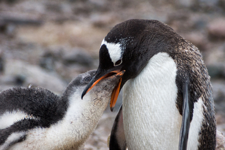 Op naar de toekomst.
