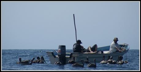 Fishermen's friends