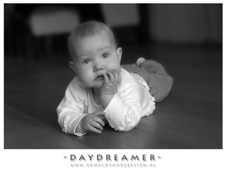 daydreamer