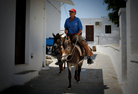 Donkey business Greece