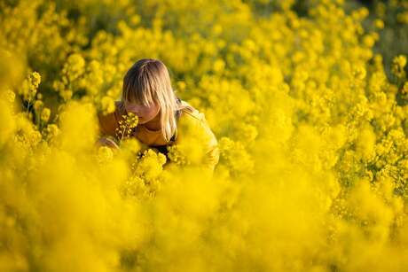 Lente en raapzaad